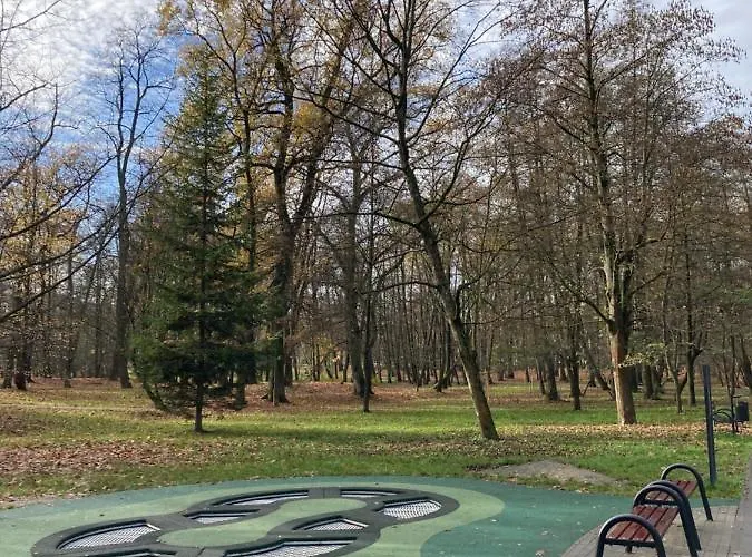 Let's Dream 68 M2 Cracovia